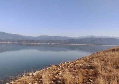 ViralReads-Jim-Corbett-Grassland-Landscape-10