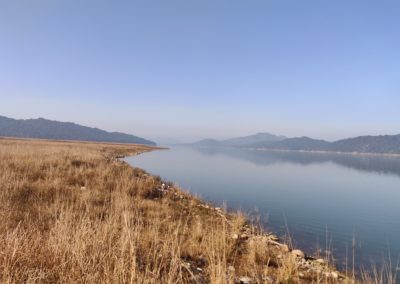 ViralReads-Jim-Corbett-Grassland-Landscape-12