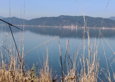 ViralReads-Jim-Corbett-Grassland-Landscape-13