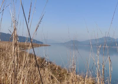 ViralReads-Jim-Corbett-Grassland-Landscape-14
