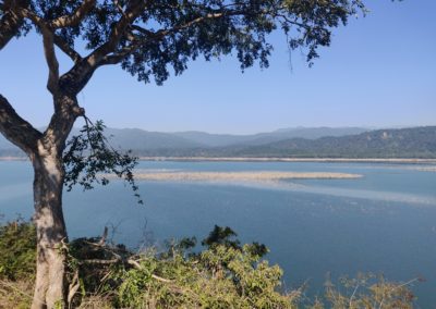 ViralReads-Jim-Corbett-Grassland-Landscape-15