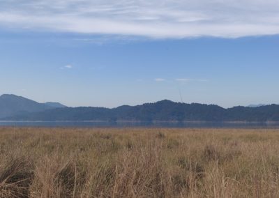 ViralReads-Jim-Corbett-Grassland-Landscape-2