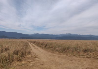 ViralReads-Jim-Corbett-Grassland-Landscape-4