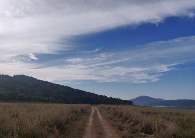ViralReads-Jim-Corbett-Grassland-Landscape-5
