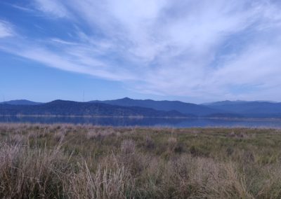 ViralReads-Jim-Corbett-Grassland-Landscape-6