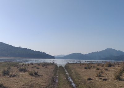 ViralReads-Jim-Corbett-Grassland-Landscape-8