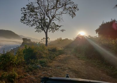 ViralReads-Jim-Corbett-Landscapes-1