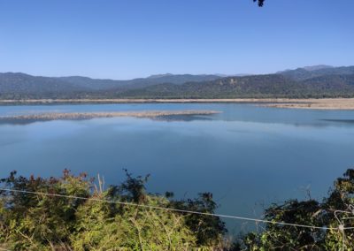ViralReads-Jim-Corbett-Landscapes-11