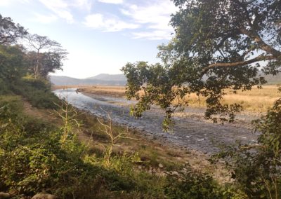 ViralReads-Jim-Corbett-Landscapes-12