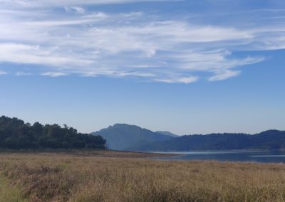 ViralReads-Jim-Corbett-Landscapes-14