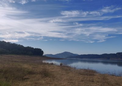 ViralReads-Jim-Corbett-Landscapes-15