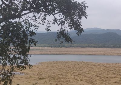 ViralReads-Jim-Corbett-Landscapes-16