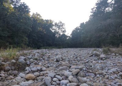 ViralReads-Jim-Corbett-Landscapes-17