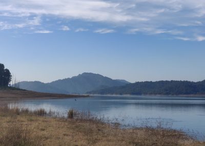 ViralReads-Jim-Corbett-Landscapes-18