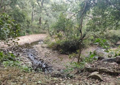 ViralReads-Jim-Corbett-Landscapes-19