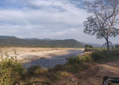 ViralReads-Jim-Corbett-Landscapes-20