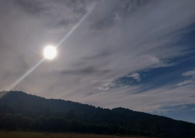 ViralReads-Jim-Corbett-Landscapes-21