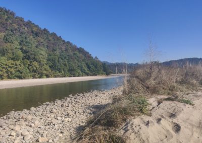 ViralReads-Jim-Corbett-Landscapes-22