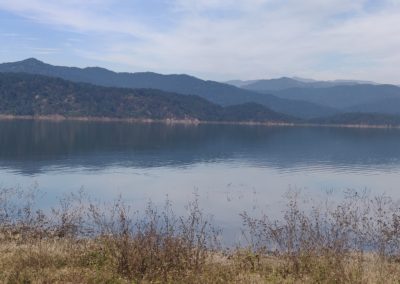 ViralReads-Jim-Corbett-Landscapes-23