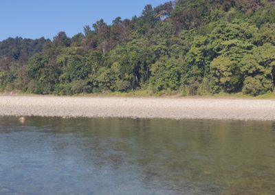 ViralReads-Jim-Corbett-Landscapes-24