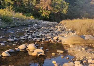 ViralReads-Jim-Corbett-Landscapes-25