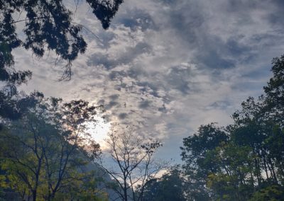 ViralReads-Jim-Corbett-Landscapes-26