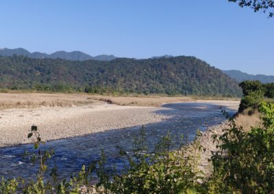 ViralReads-Jim-Corbett-Landscapes-4