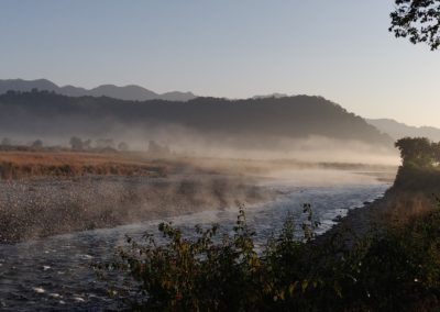 ViralReads-Jim-Corbett-Landscapes