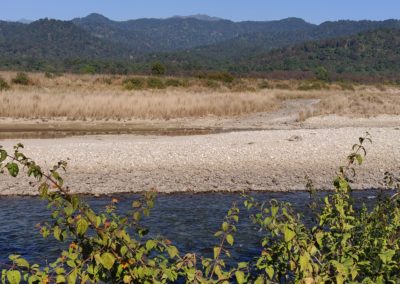 ViralReads-Jim-Corbett-Landscapes-5