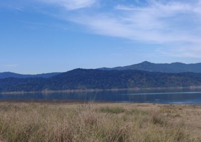 ViralReads-Jim-Corbett-Landscapes-6