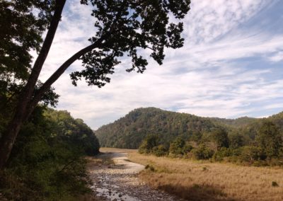 ViralReads-Jim-Corbett-Landscapes-7