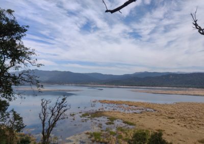 ViralReads-Jim-Corbett-Landscapes-8