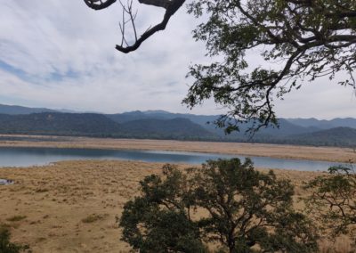 ViralReads-Jim-Corbett-Landscapes-9