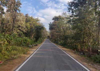 ViralReads-Jim-Corbett-Road-Landscape-1